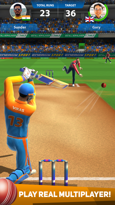 Cricket Game Pro - Screenshot